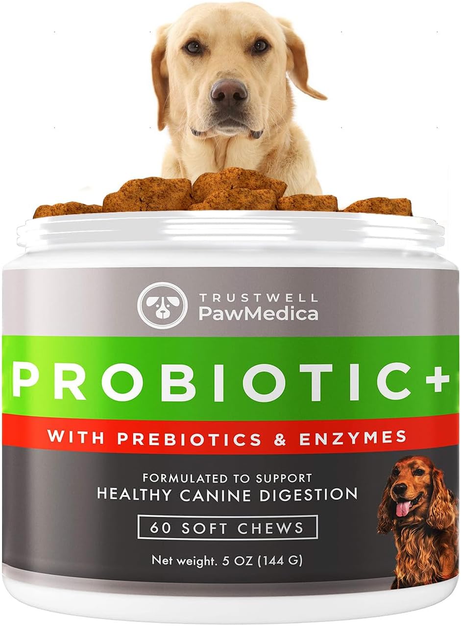 PawMedica Dog Probiotics and Digestive Enzymes, Probiotics for Dogs Made in USA, Pet Probiotic Chews for Dogs, Prebiotics & Probiotic Dog Digestive Support, Probiotic Treats - 60 Dog Probiotic Chews