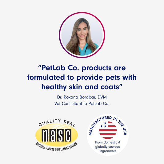 Petlab Co. Itch Relief Chews - Support For Dry, Occasionally Itchy Skin & Coats - Formulated With Turmeric, Omega 3 & 6, Honey - Packaging May Vary