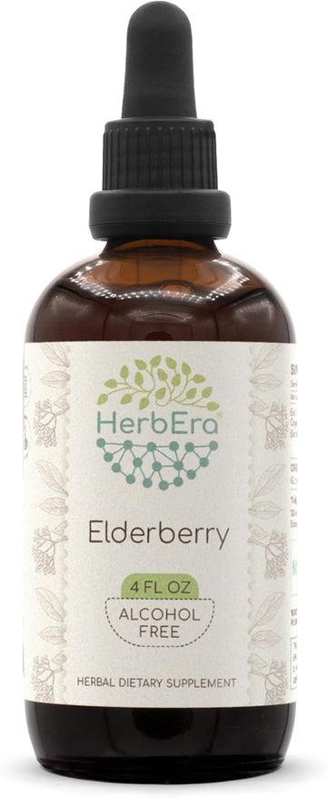 Elderberry B120 Herbal Extract Alcohol-Free Tincture, Concentrated Liquid Drops Natural Elderberry (Sambucus Nigra) 4 Fl Oz
