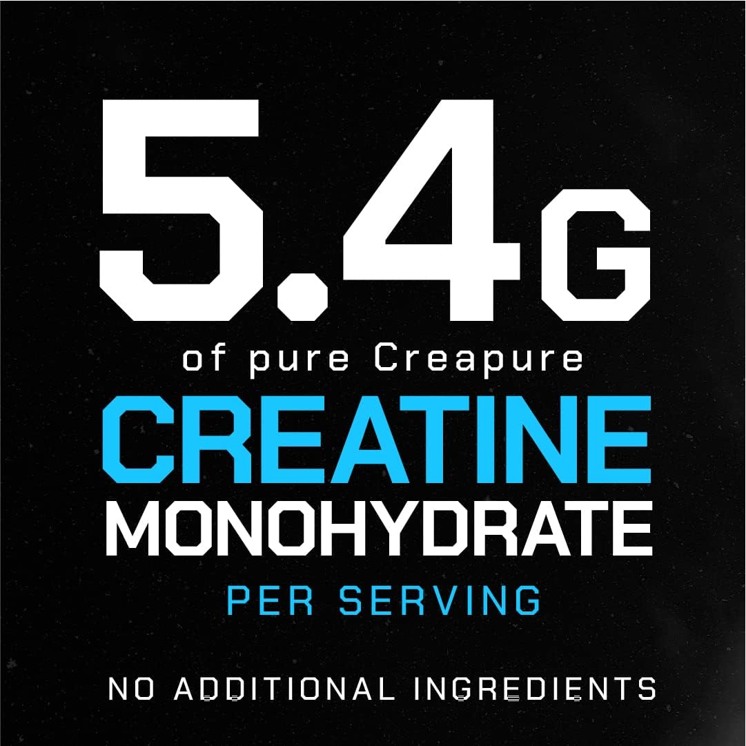 Muscle Feast Creapure Creatine Monohydrate Powder, Vegan Keto Friendly Gluten-Free Easy to Mix, Mass Gainer, Muscle Recovery Supplement and Best Creatine for Muscle Growth, Fruit Punch, 300g : Health & Household