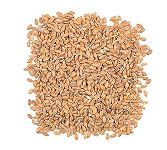 Roland Foods Organic Einkorn Wheat, Ancient Grain, 17.6 Ounce Bag, Pack of 12