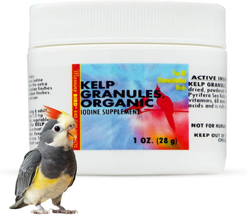 Morning Bird Kelp Granules 16 Oz – Iodine Supplement For Birds – Supports Feather Growth, Molting & Metabolism – Rich In Amino Acids, Trace Minerals & Natural Vitamins – Clean Nutrition For All Birds
