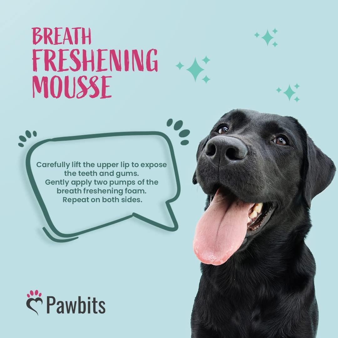 Dog Breath Freshener Mousse - Dogs Dental Foam Supports Healthy Gums & Teeth Eliminate Bad Breath, Tartar, and Plaque Buildup with Dog Mouthwash - Fresh Breath & Safe Oral Hygiene for Your Pet :Pet Supplies