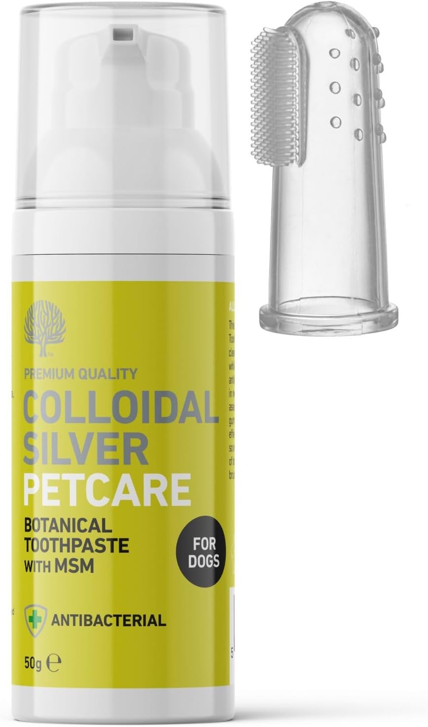 Nature'S Greatest Secret Natural Dog Toothpaste 50G With Colloidal Silver & Msm - Fresh Peppermint Flavour - Vegan & Antibacterial Formula - Supports Gum Care & Oral Hygiene - Uk Made