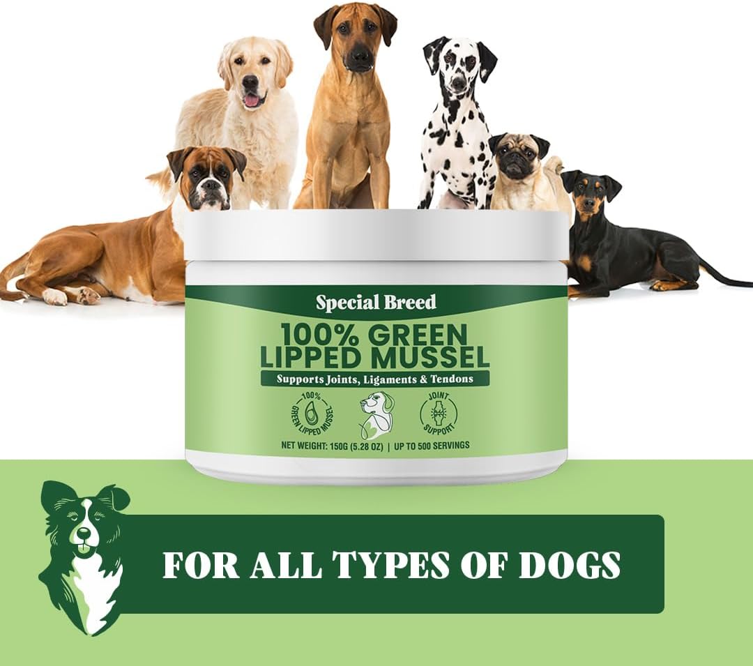 Green Lipped Mussels for Dogs & Cats - Premium Joint Supplement Powder for HIPS, Joints, and Muscles (150 Grams, Up to 500 Servings) : Pet Supplies