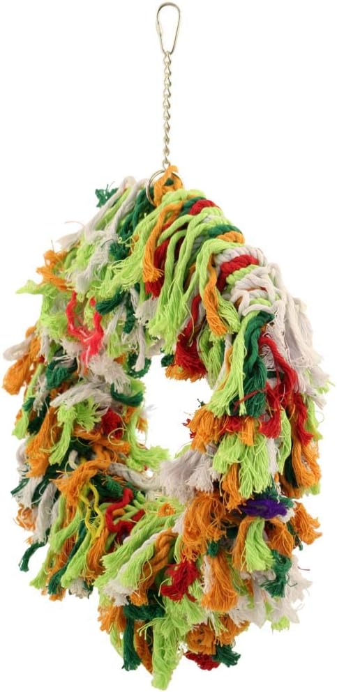 Northern Parrots Rainbow Ring Parrot Swing – Preening Parrot Toy :Pet Supplies