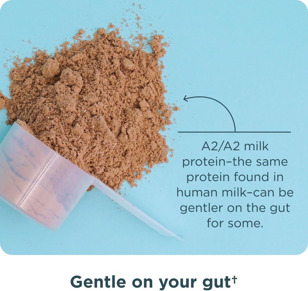 Ancient Nutrition Grass Fed Whey Protein, Milk Chocolate, 23G Protein, 20 Servings, Hydrolyzed Collagen Peptides, Organic Regenerative A2/A2 Milk Protein : Health & Household