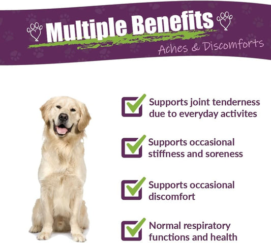 Amber Naturalz Adizone Herbal Supplement For Dogs | Supports A Healthy Inflammatory Response, Occasional Discomfort, And Joint Function | Natural Aid For Active And Aging Canines