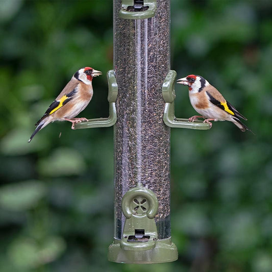 Jacobi Jayne Ring-Pull Click Large Niger Seed Feeder, green Bird?RP3-N3G