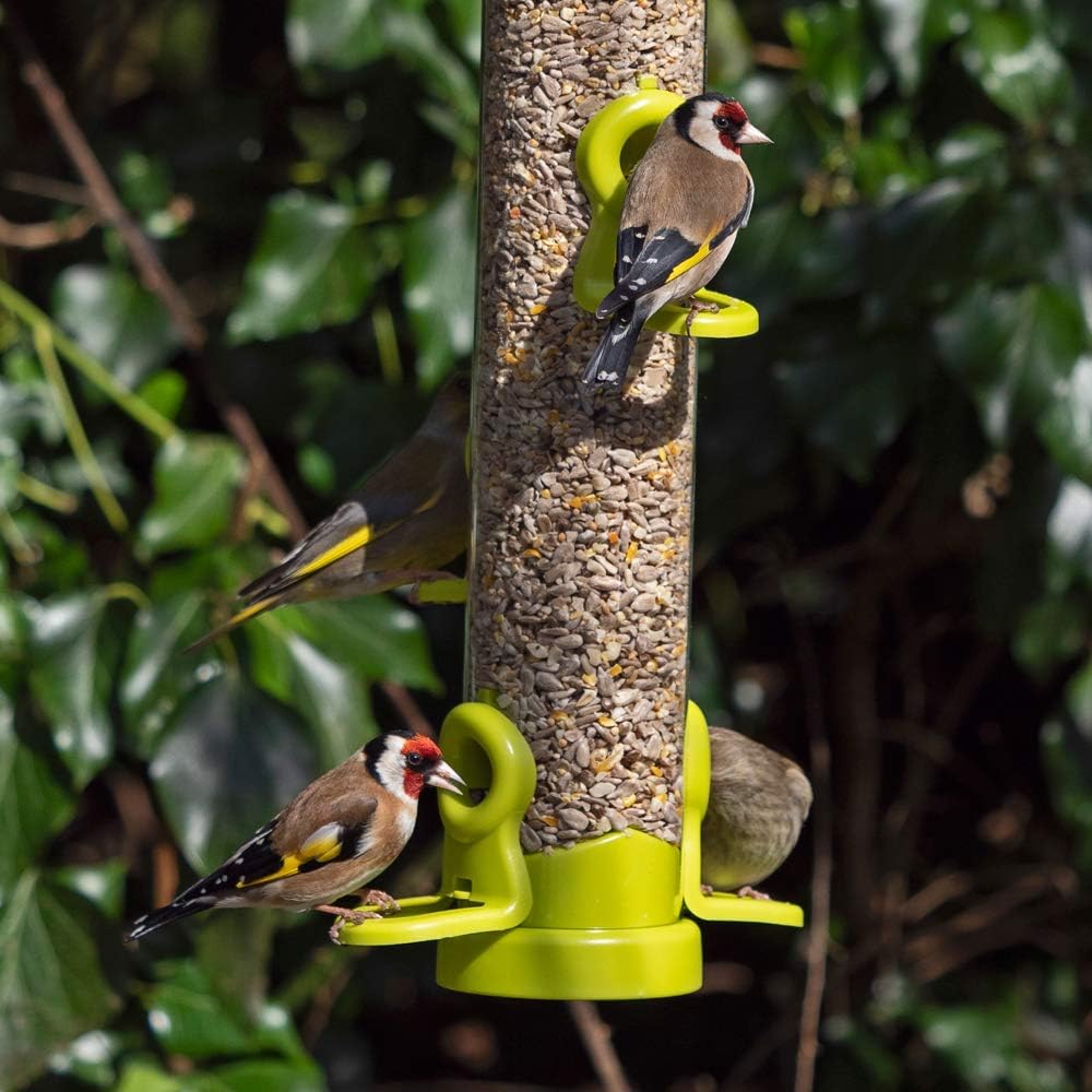 Jacobi Jayne FLO-S3G Bird Feeder, Lime, Large :Garden