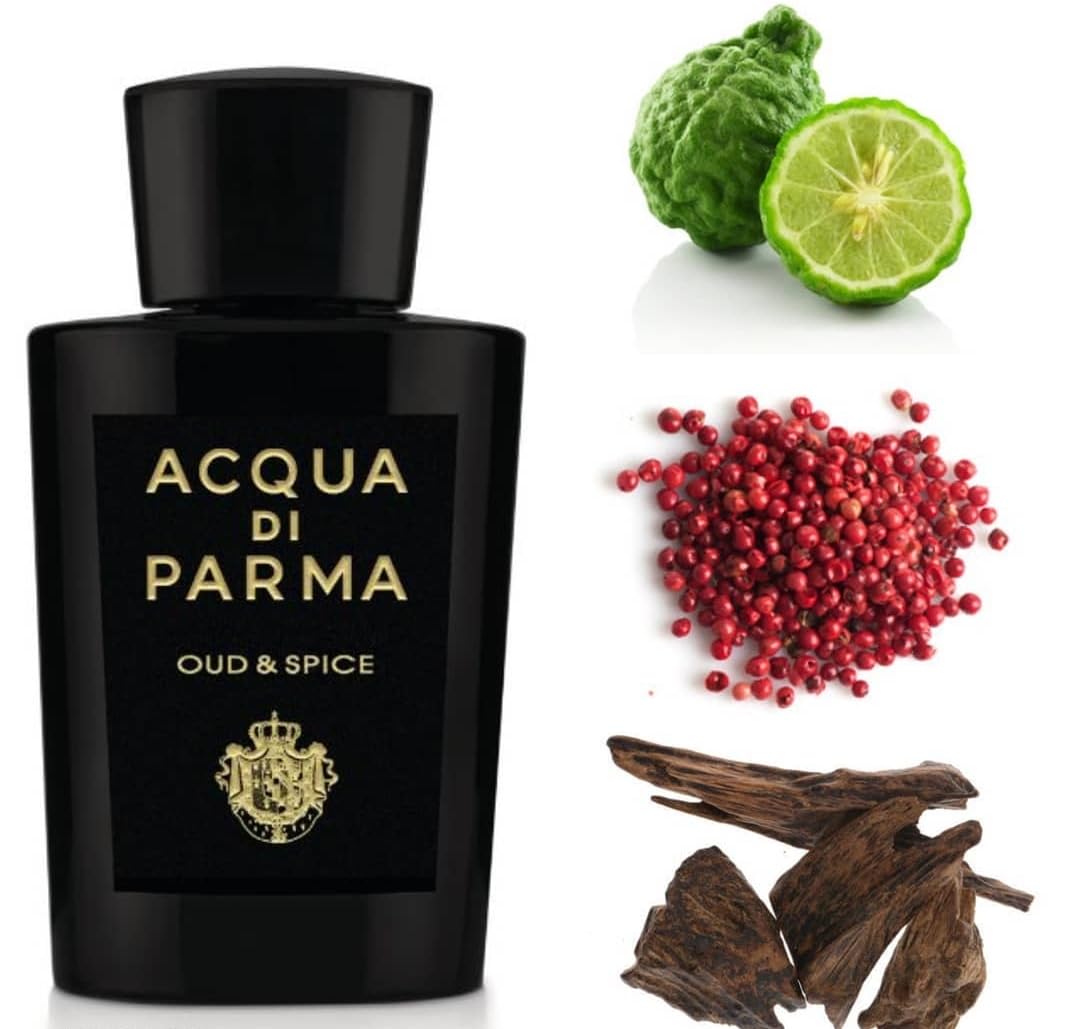Acqua Di Parma Oud & Spice By Acqua Di Parma, Eau De Parfum Spray 3.4 Oz