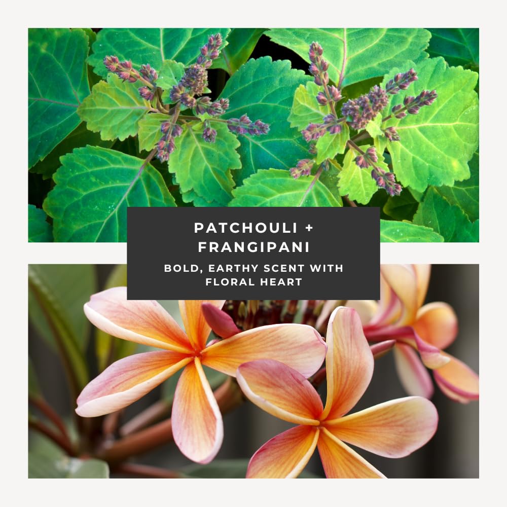 Herb & Root Patchouli Frangipani Eau De Parfum: Long Lasting Perfume For Women & Men, Earthy Scent, Womens Fragrances, 1 Oz : Beauty & Personal Care