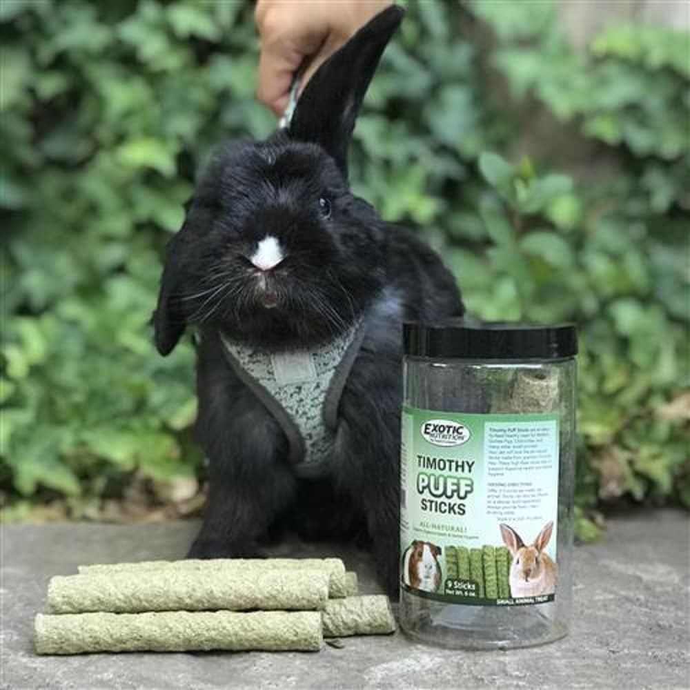 Timothy Puff Sticks - Healthy Natural Timothy Hay Chew Treat - High Protein, High Fiber - Guinea Pigs, Rabbits, Chinchillas, Prairie Dogs, Degus, Hamsters, Rats, Tortoises & Other Herbivores : Pet Supplies