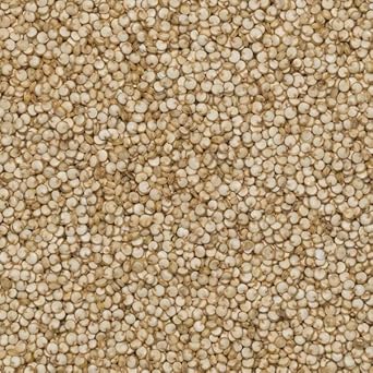 Wholefood Earth Organic Quinoa Grain – 3 Kg | Raw | Gmo Free | Vegan | High Fibre | Certified Organic