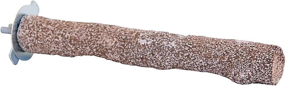 Northern Parrots Edible Beach Branch Perch – Chewable Parrot Perch – Medium :Pet Supplies
