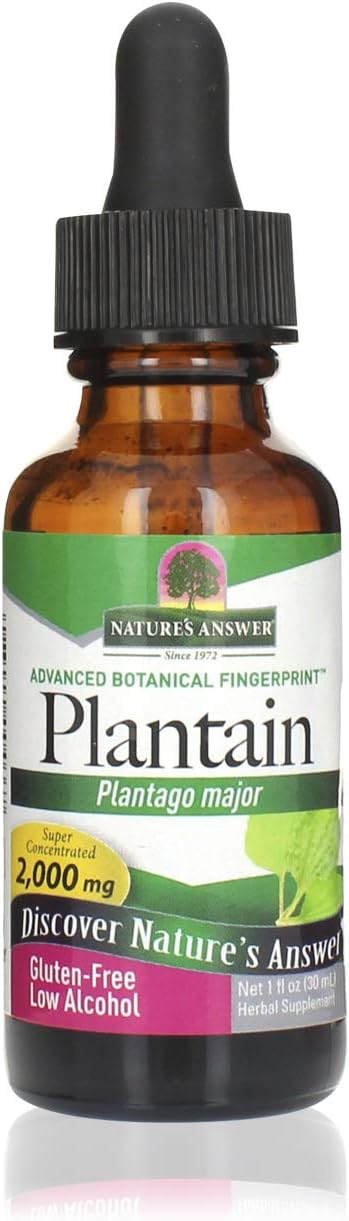 Nature'S Answer Plantain Leaf With Organic Alcohol 2000Mg 1 Extract | Supports Skin Wellness | Gluten-Free, Non-Gmo, Vegan, No Preservatives Or Artificial Avors | Single Count