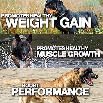 MVP K9 Formula Mass Weight Gainer for Dogs - Helps Promote Healthy Weight Gain, Size and Muscle in Dogs - Great for Skinny, Underweight, Picky Eaters. All Breed Formula, Made in USA (90 Servings) : Pet Nutritional Supplements : Pet Supplies