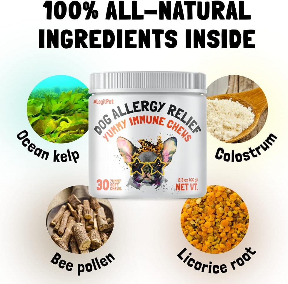 Allergy Relief Chews for Dogs & Immune & Digestive Supplement with Wild Salmon Oil Kelp Colostrum Turmeric Probiotics & Bee Pollen for Seasonal Allergies Anti Itch, Skin Hot Spots Soft Treats : Pet Supplies