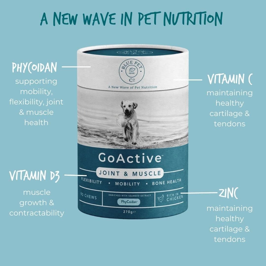 Blue Pet Co - GoActive Joint & Muscle Supplement for Dogs - Promotes Flexibility, Mobility & Bone Health - Enriched with Seaweed Extract PhyCoidan - Rich in Chicken - 90 Chews : Amazon.co.uk: Pet Supplies