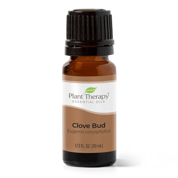 Plant Therapy Clove Bud Essential Oil 100% Pure, Undiluted, Natural Aromatherapy, Therapeutic Grade 10 Ml (1/3 Oz)