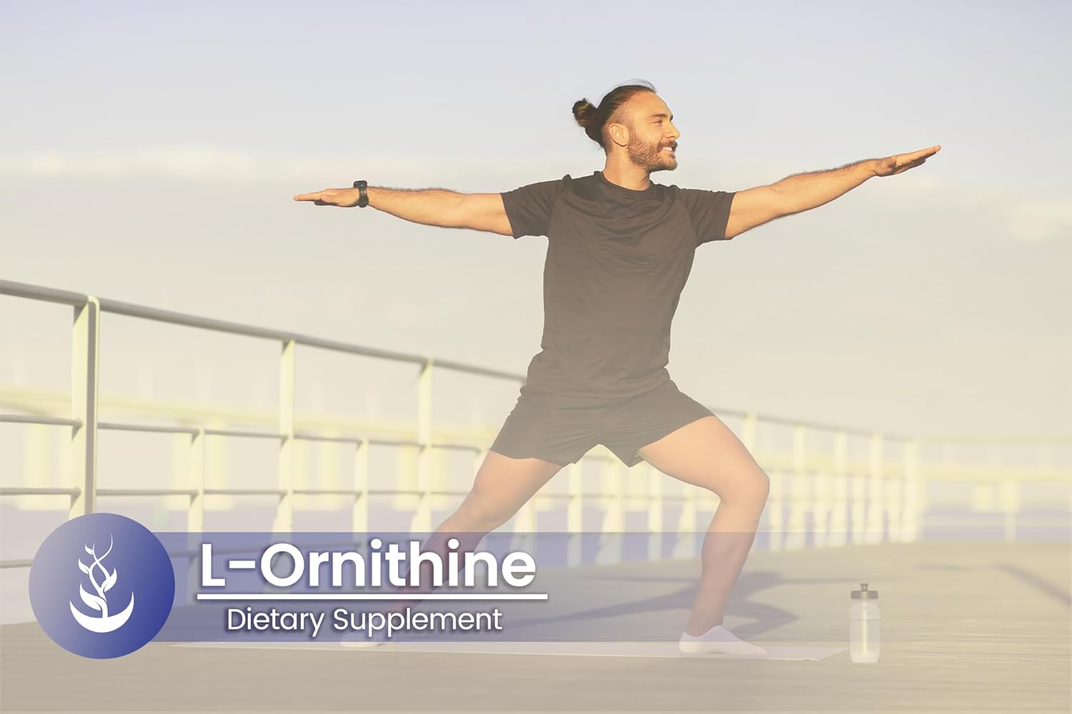 Pure Original Ingredients L-Ornithine, (100 Capsules) Always Pure, No Additives Or Fillers, Lab Verified : Health & Household