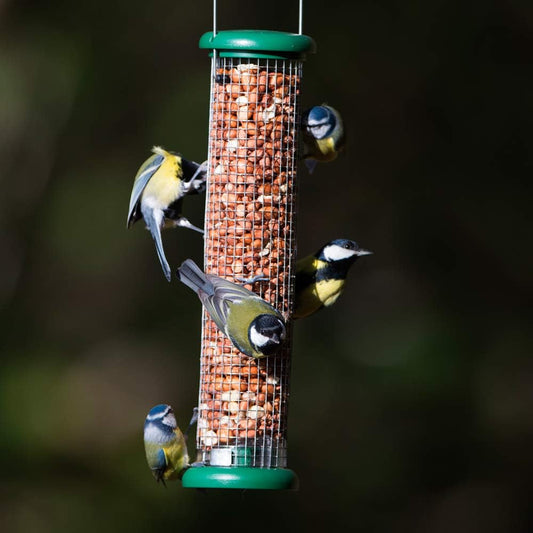 Ring-Pull TO-P2G Medium Bird Feeder for Peanuts - Green?TO-P2G