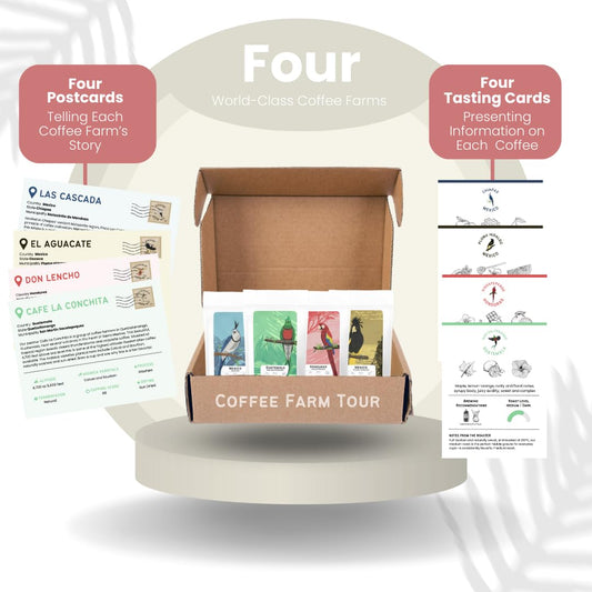 Canopy Point Coffee | Ground Coffee Sample Pack | Gourmet Coffee Sampler | Single Origin Coffee Gift Set | Sampler Gift Box Set | Coffee Gifts | Specialty Coffee Gift Basket | 4 Pack Variety Set Sampler (Ground)
