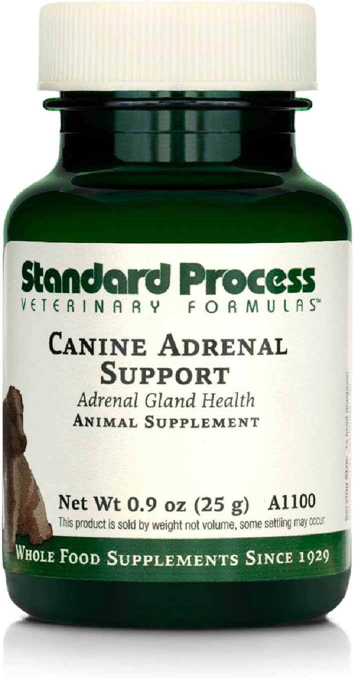 Standard Process Canine Adrenal Support - Canine Support Supplement For Adrenal Health - Nutritional Supplement For Liver & Kidney Support - Powder Dog Supplement Formula To Aid Adrenal Glands - 25 G