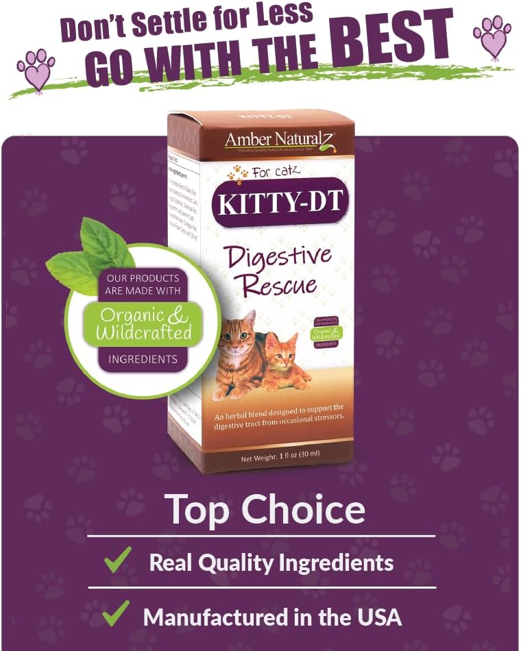 Amber Naturalz Kitty-Dt Digestive Rescue Herbal Supplement For Cats | Feline Herbal Supplement For Occasional Upset And Digestive Support | 1 Fluid Ounce Glass Bottle | Manufactured In The Usa : Pet Digestive Remedies : Pet Supplies
