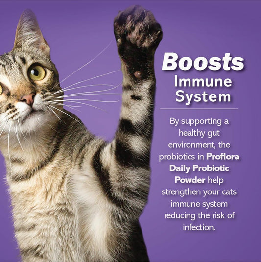 Probiotics For Cats-Complete Gut Health & Immune Support. Easy To Use Digestive Multi-Strain Probiotics. Easier Diet Transitions, Healthier Skin & Coat & Helps Treat Diarrhea. 30 Packets