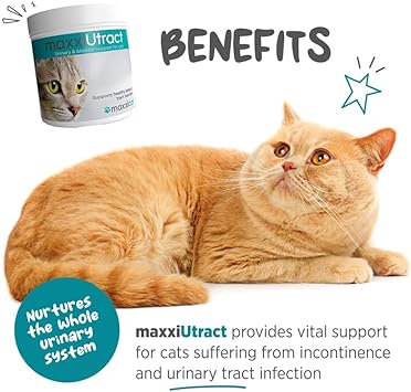 maxxiUtract Urinary and Bladder Supplement for Cats – Helps Prevent UTI Recurrence, Support Feline Bladder Control and Urinary Tract System Health – Cranberry Formula Powder (3.2 oz)