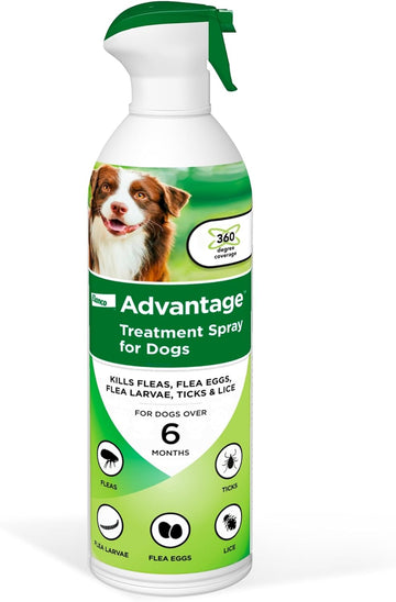 Advantage Dog Flea Treatment Spray | Kills Fleas & Ticks | Dog Flea Spray | 8 Oz