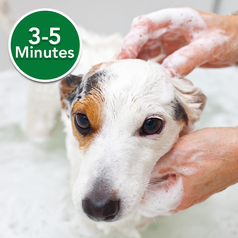 Pet Shampoos : Vet's Best Medicated Oatmeal Shampoo for Dogs | Soothes Dog Dry Skin | Cleans, Moisturizes, and Conditions Skin and Coat | 16 Ounces