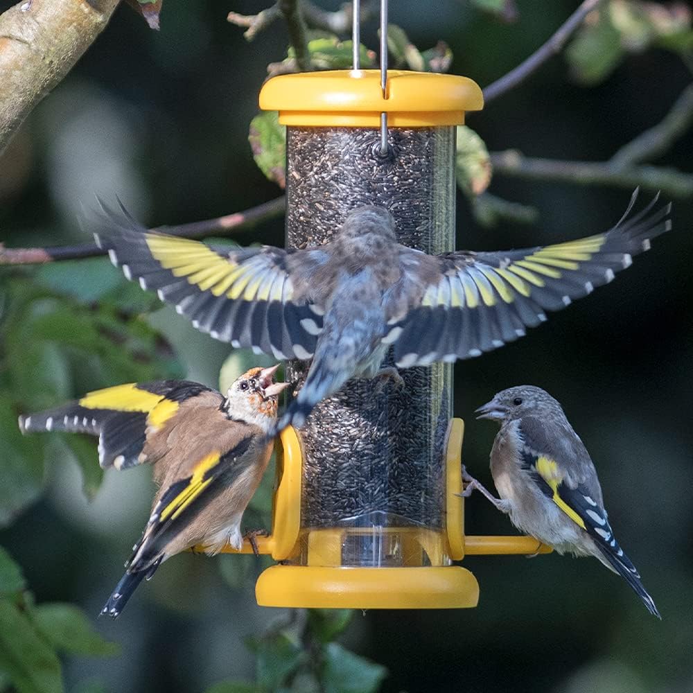 Ring-Pull TO N1Y Small Bird Feeder for Niger Seeds - Yellow :Garden