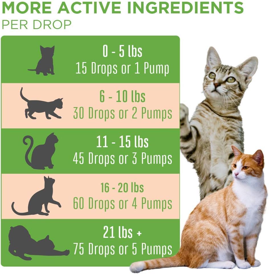MaryRuth Organics Cat Probiotic | USDA Organic Probiotic for Cats | Cat Probiotic for Digestive Support | Supplement for Gut Health & Beneficial Bacteria | Vegan | Non-GMO | Gluten Free | 4 Fl Oz : Pet Supplies