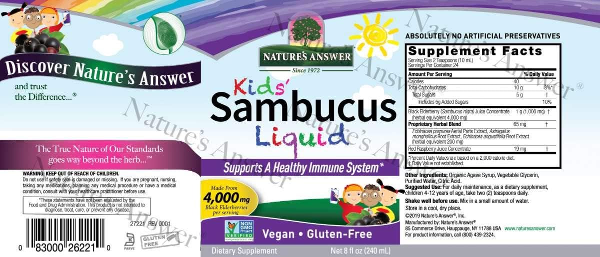 Natures Answer Sambucus Syrup Elderberry Kids Formula, 8  | Natural Immune Booster | Taste that Kids Love | u Season Support | Packed with Antioxidants