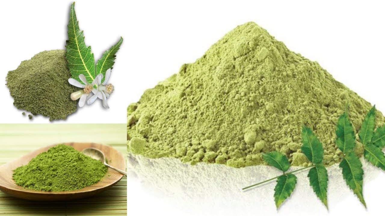 100% Natural Neem Leaves Powder (Azardirachta Indica) (100 gm (0.22 lb) 3.5 Ounces) : Health & Household