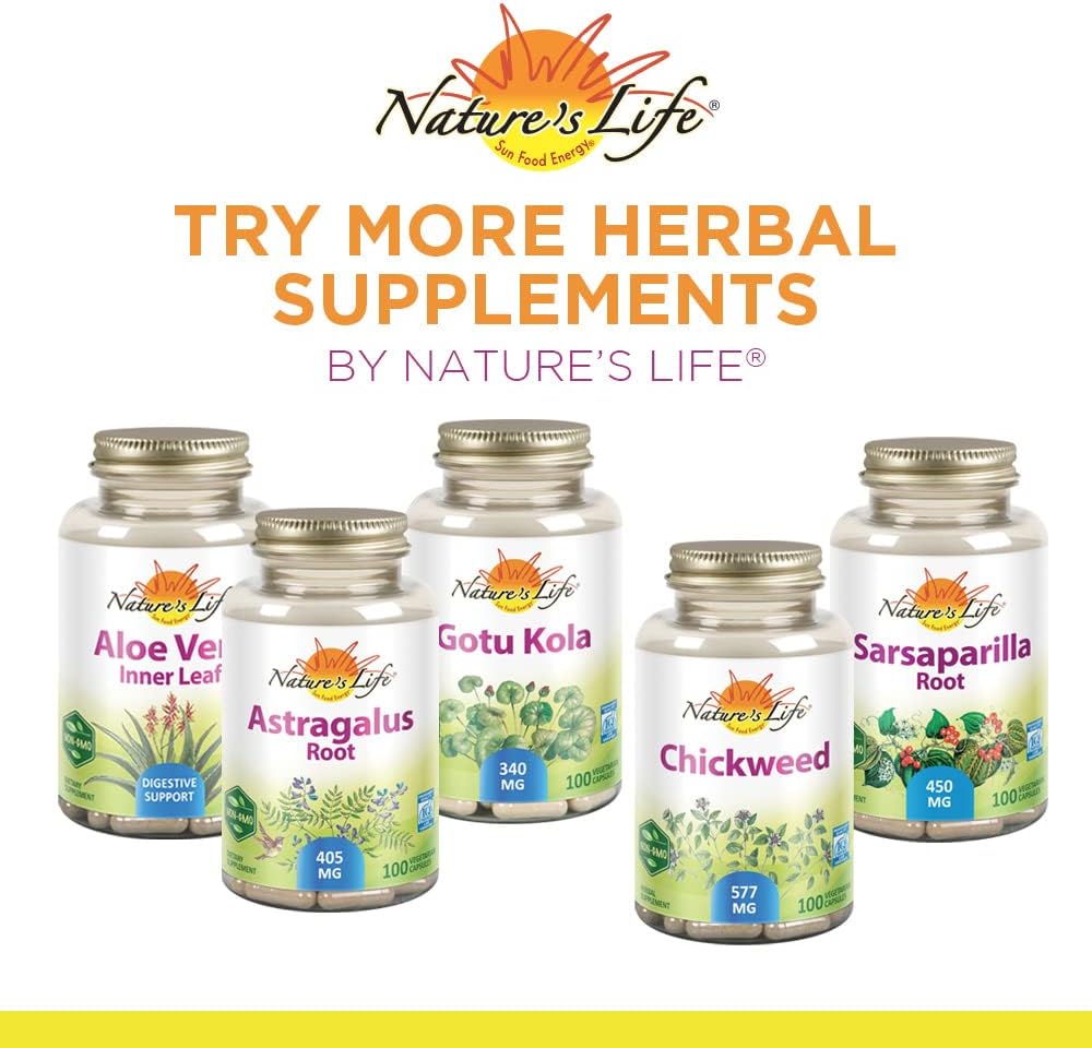 Nature's Life Reishi Mushroom 1200 mg | Healthy Immune Function, Energy & Mood Support Supplement | Non-GMO & Lab Verified | 100 Vegetarian Capsules : Health & Household