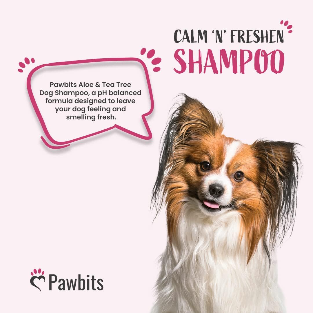 Calm & Freshen Dog Shampoo Calming Aloe and Tea Tree Fragranced Concentrated - Aloe Vera and Tea Tree Oil Formula to - Remove Dirt, Stubborn Stains and Odours 250ml :Pet Supplies