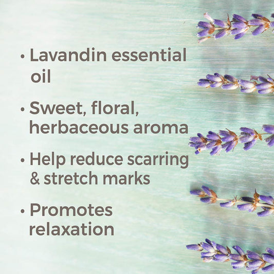 Plant Therapy Lavandin Essential Oil 100 Ml (3.3 Oz) 100% Pure, Undiluted, Therapeutic Grade