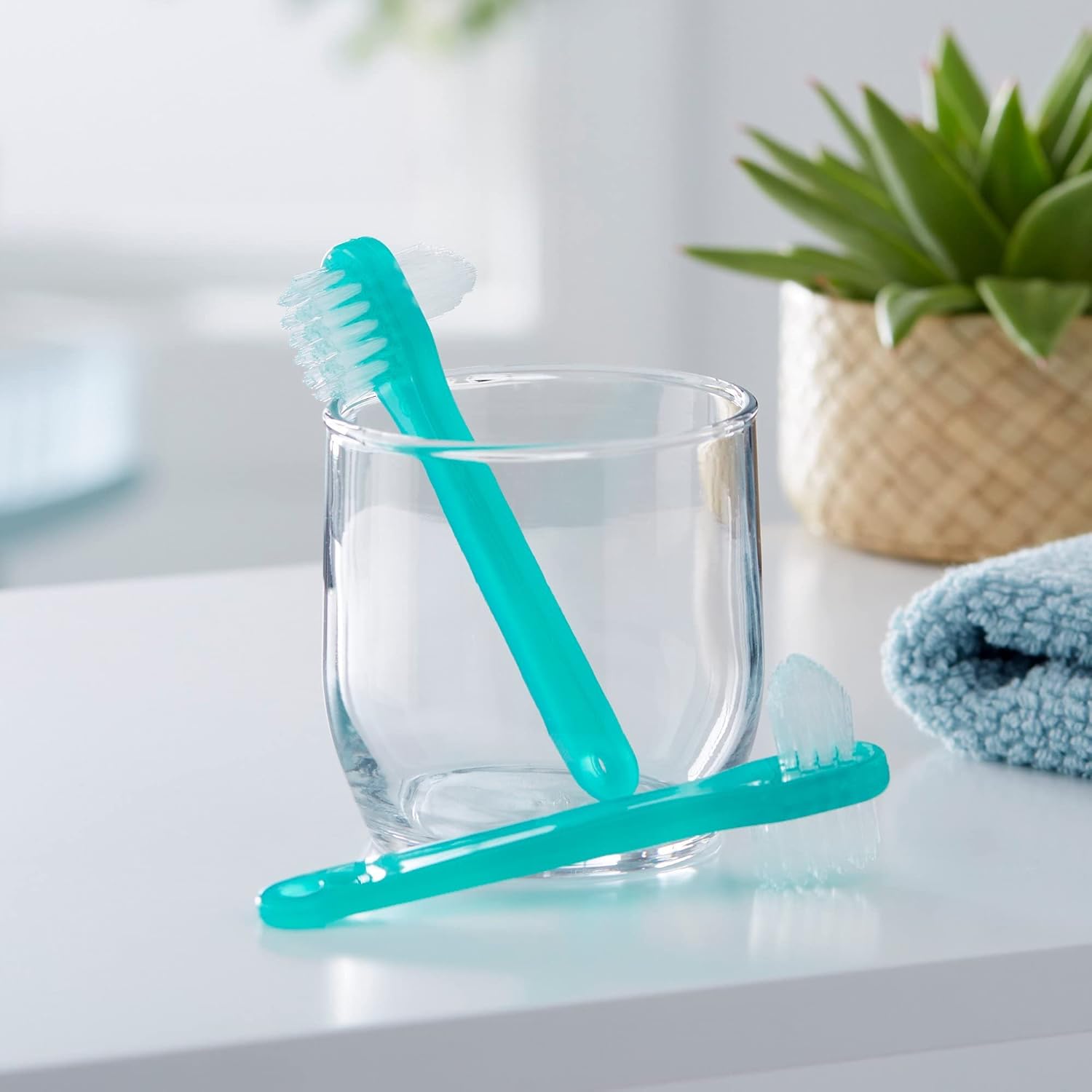 Mckesson Denture Brushes 2-Sided Bristle, Green, 144 Count : Health & Household