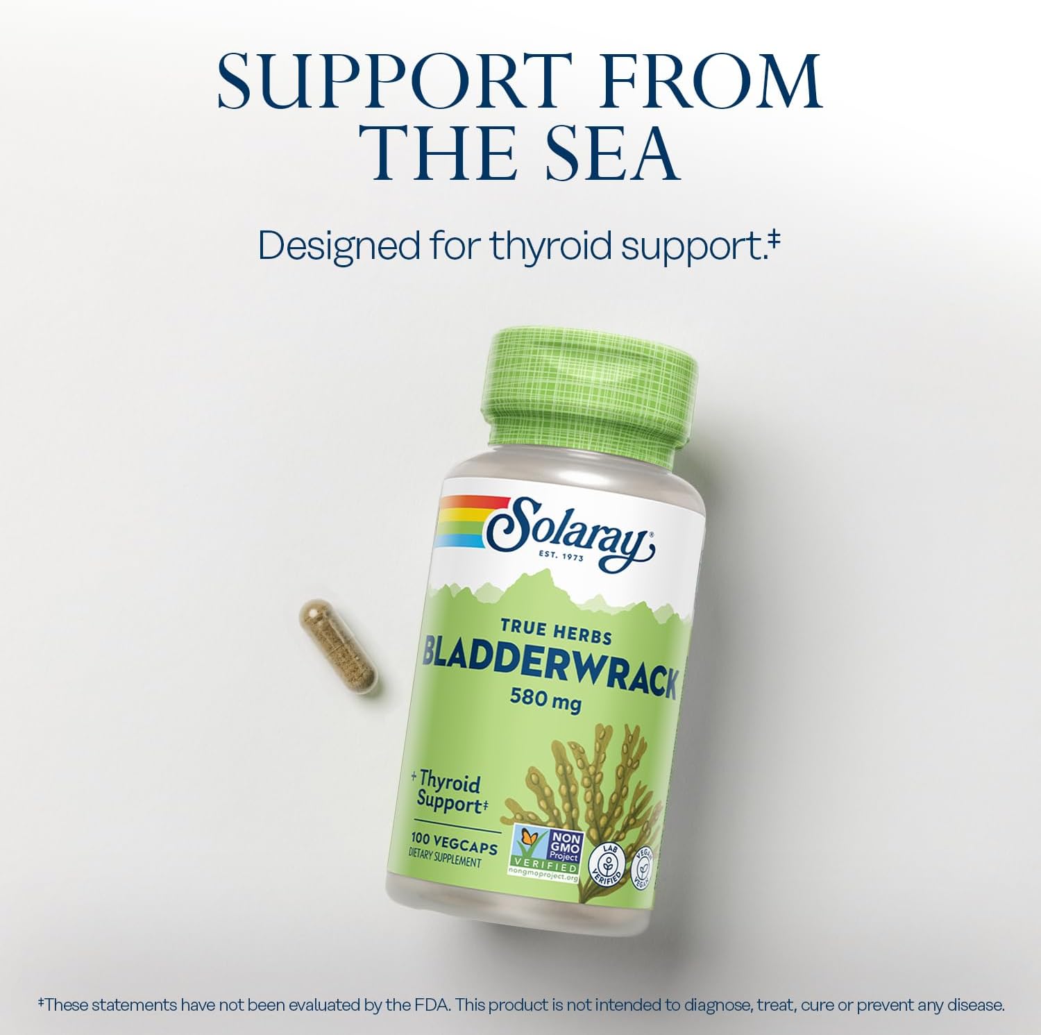 SOLARAY Bladderwrack Seaweed 580 mg Healthy Thyroid Balance, Supports Non-GMO & Vegan 100 VegCaps : Health & Household