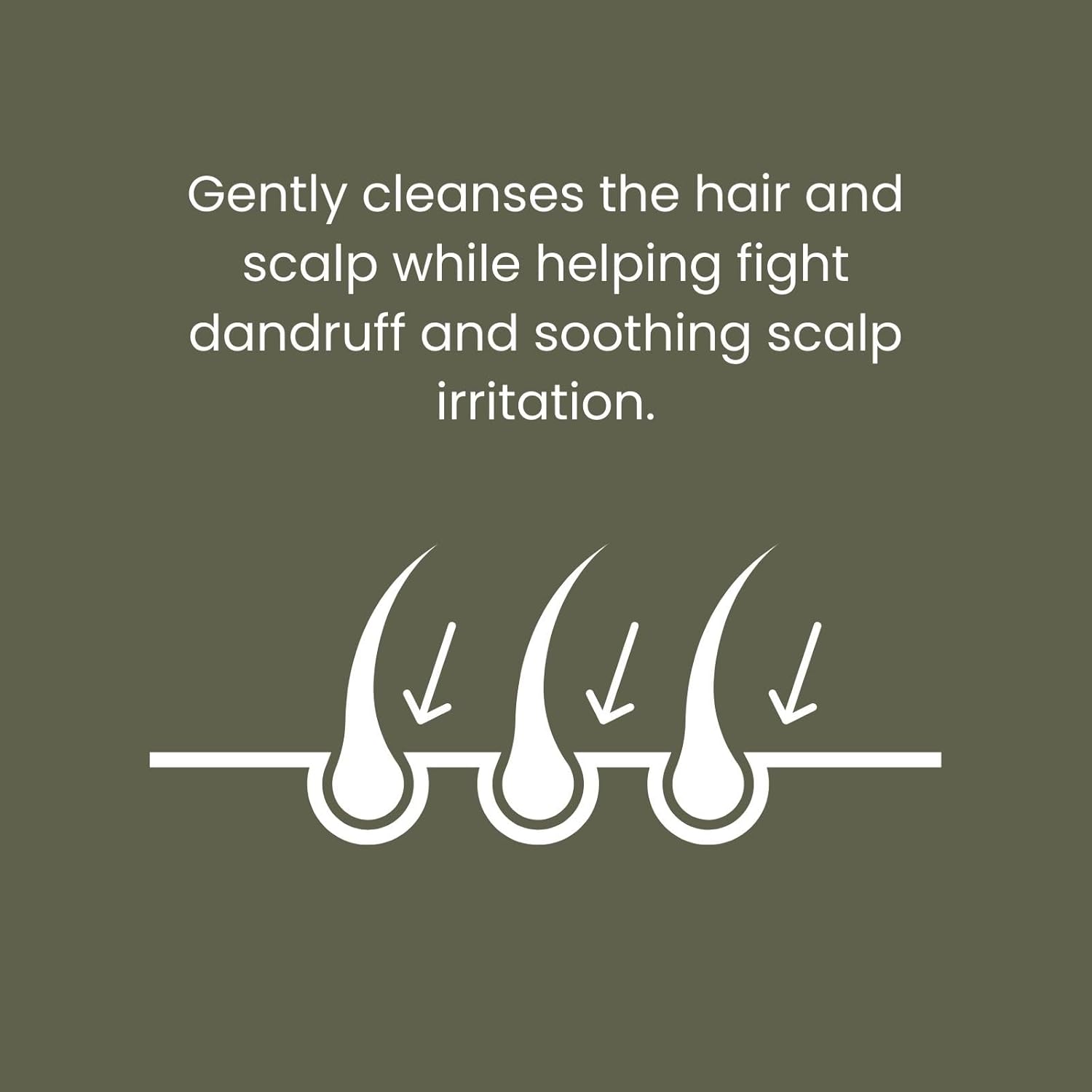 ManCave Scalp Care Shampoo for Men, DHT Blocker Encourages Hair Growth and Dandruff Control, Contains Saw Palmetto, Panthenol and Betaine, Sulphate Free, Natural, Vegan, Cruelty Free, 350 ml : Amazon.co.uk: Beauty