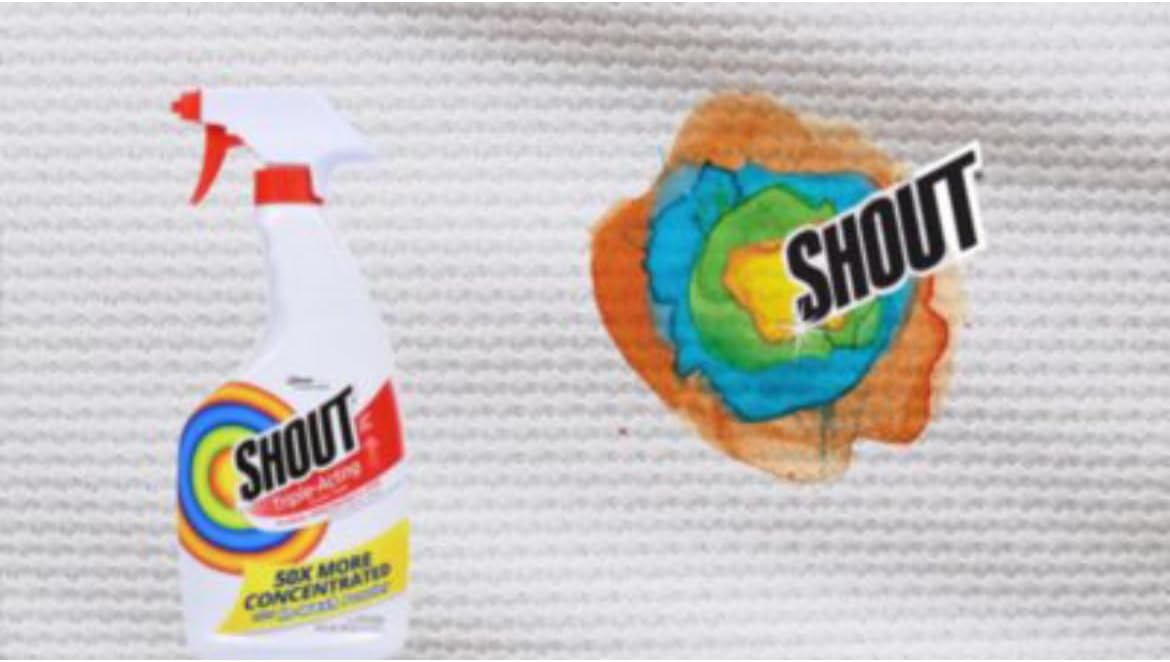Shout Triple Acting Laundry Stain Remover with 22 OZ Trigger, 1 Gallon : Health & Household