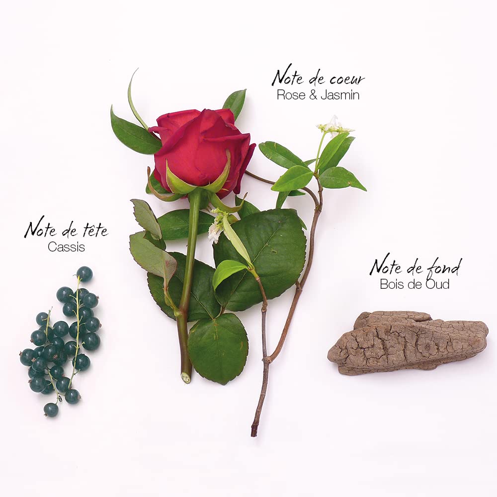 Mauboussin - Elixir Pour Elle 200Ml (6.6 Oz) - Divine Body Cream For Women - Oriental & Gourmand Scents : Beauty & Personal Care