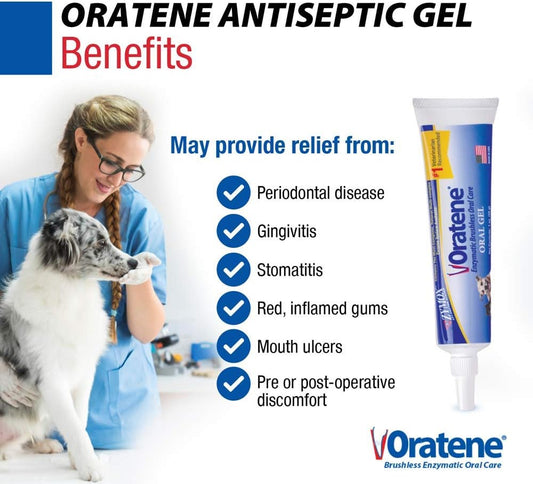 Pet King Brands Zymox Oratene Brushless Oral Gel For Dogs And Cats, 1Oz