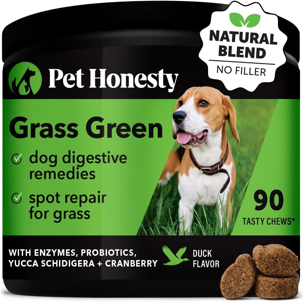 Pet Honesty Grass Green - Pee Grass Spot Saver Caused by Dog Urine, Gut Health Probiotics, Dog Urine Neutralizer for Lawn, Grass Burn Spot Chews, Cranberry, Apple Cider Vinegar, Dog Rocks (Duck 90 ct)
