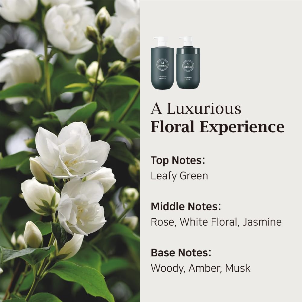 British M Kombucha Shampoo 10.15 Fl. Oz – Scalp Detox, Hydrate & Strengthen, Promote Hair Growth, Paraben & Sulfate-Free, Vegan Formula For All Hair Types : Beauty & Personal Care