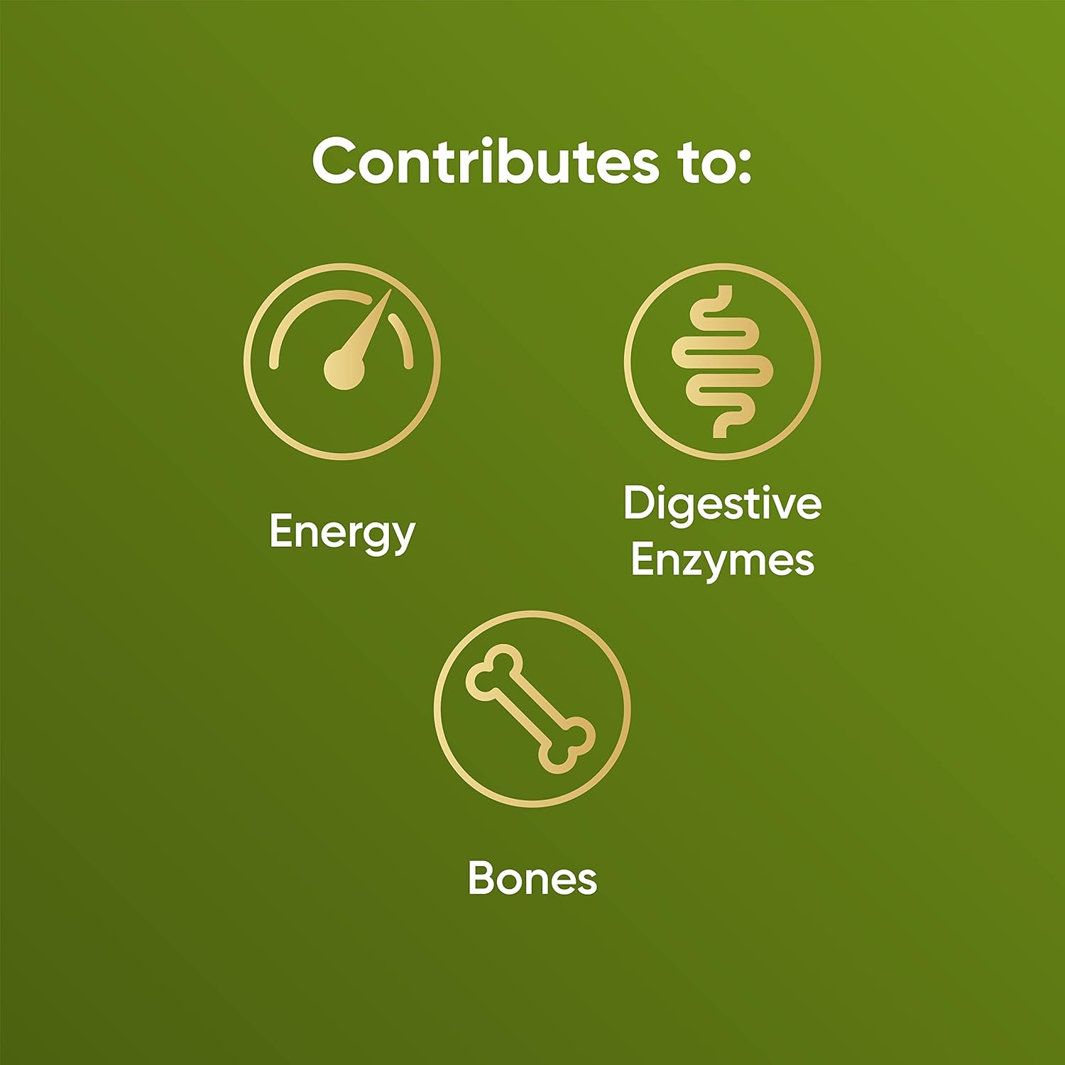 Naturya Energizing Matcha Superfood Latte Blend 250g - Creamy Vegan & Gluten-Free Matcha Green Tea with Coconut Milk, Reishi Mushroom, Live Bio Cultures & Seaweed Calcium for Digestion & Bone Health : Amazon.co.uk: Grocery