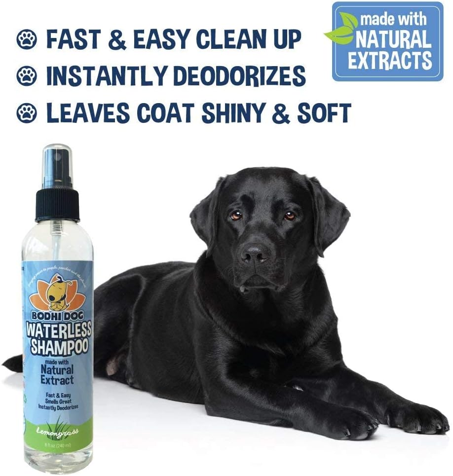 Bodhi Dog Waterless Shampoo | Natural Dry Shampoo for Dogs or Cats | Neutralizes Pet Odor | No Rinse Required | Made with Natural Extracts | Vet Approved- Made in USA (Lemongrass, 8 Fl Oz)